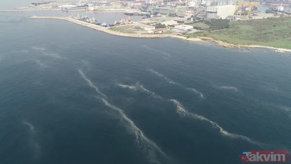 Müsilaj kabusu geri döndü! İstanbul'da müsilaj her geçen dakika artıyor - 7