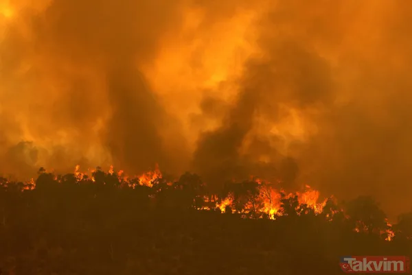 SON DAKİKA: Avustralya'da yangın faciası! 71 ev kül oldu - 9