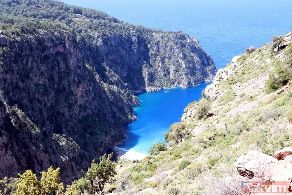 Adeta cennetten bir köşe! Kelebekler Vadisi'ni besleyen şelaleyi kurutan işletmelerin kaçak su kullanmaya devam ettikleri ortaya çıktı - 1