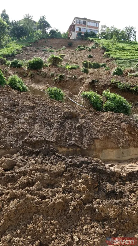 Doğu Karadeniz'i bekleyen büyük facia! Kaçak çaylıklar için ormanlar kesiliyor - 17