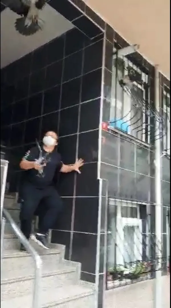 yavru-kargayi-kedilerden-kurtardi-iki-karganin-saldirisina-ugradi-1622805508748.jpg Yavru kargayı kedilerden kurtardı! İki karganın saldırısına uğradı-9