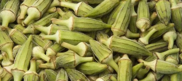 Gelelim bamyanın faydalarına...