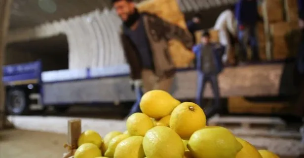 Limon üreticisinden marketlere fiyat tepkisi