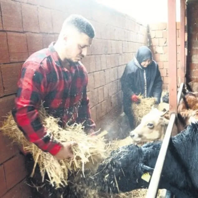 Robot olmam çoban olurum