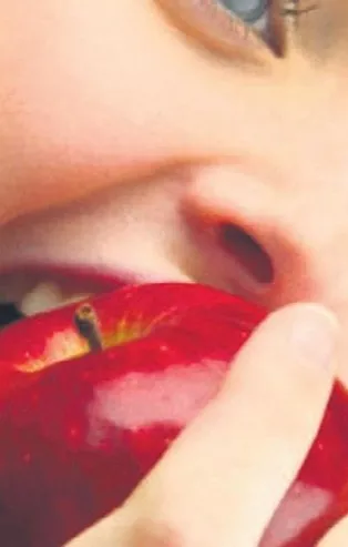 Süt elma mideni yakma! (Sağlık haberleri)