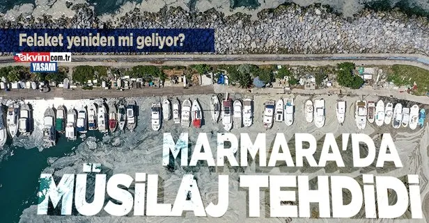 Marmara’da müsilaj geri gelebilir! Prof. Dr. Melek Okyar uyardı: Marmara Denizi’nde su sıcaklıklarının artışıyla birlikte...