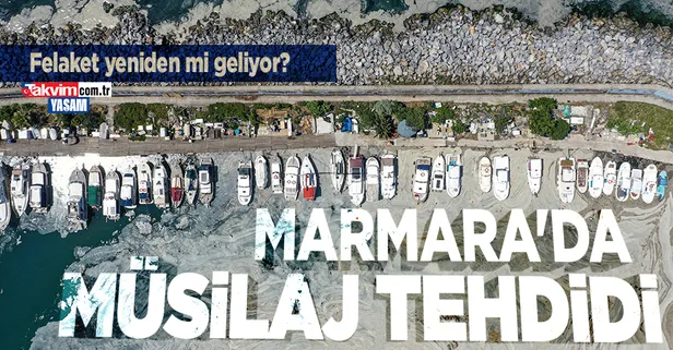 Marmara'da müsilaj geri gelebilir! Prof. Dr. Melek Okyar uyardı: Marmara Denizi'nde su sıcaklıklarının artışıyla birlikte...