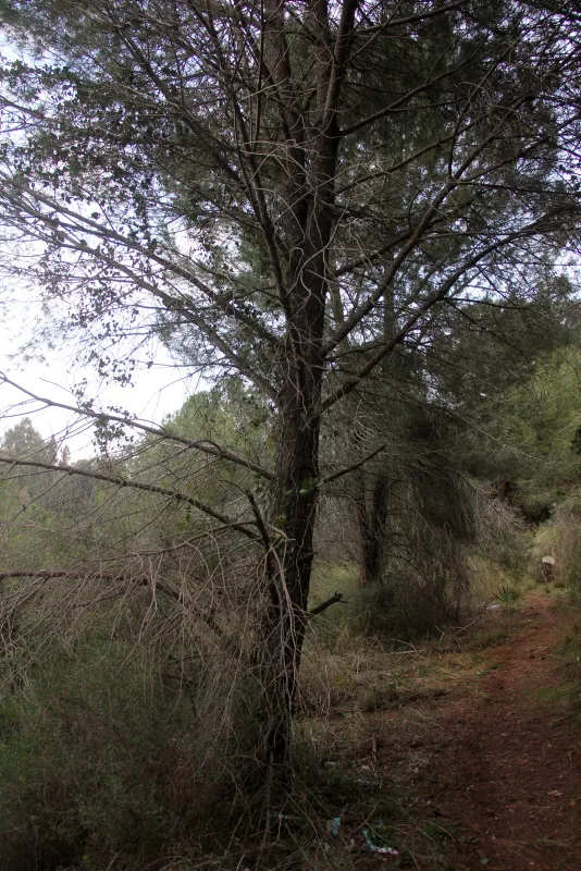 'El şakası' nedeniyle arkadaşını öldürdü, cezaevi izninde kendini astı!-3