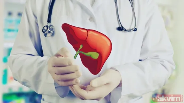 Harvard Mezunu Karaciğer Ve Bağırsak Hastalıkları Uzmanı Dr. Saurabh Sethi, Sağlıklı Yaşam Alışkanlıklarıyla Birlikte Tüketildiğinde Karaciğer Yağlanmasının...