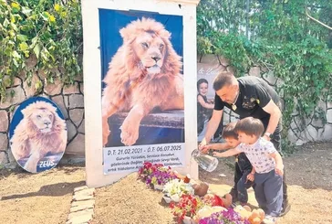 ’Hakkımı helal ettim’