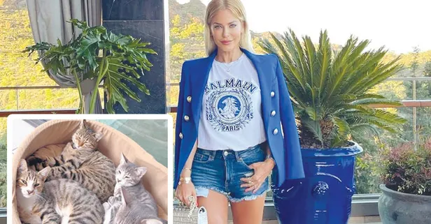 Lüks sitede kedi kavgası! Burcu Şendir karakolluk oldu