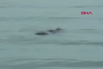 Denizde erkek cesedi bulundu