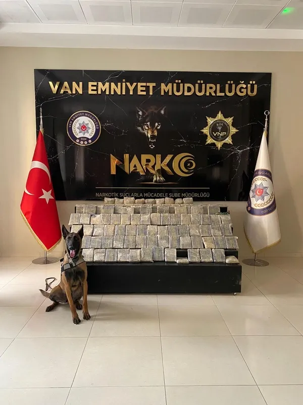 van-polisi-ve-mitten-zehir-tacirlerine-ortak-operasyon-midesinde-uyusturucu-bulundu-1624913997813.jpg