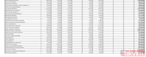 Orta Vadeli Program yayınlamdı: İşte sayfa sayfa 3 yıllık yol haritası - 4