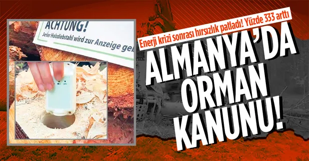 Enerji krizi sonrası fahiş fiyat artışı hırsızlığı patlattı! Almanya'da ağaçlara çip takıyorlar