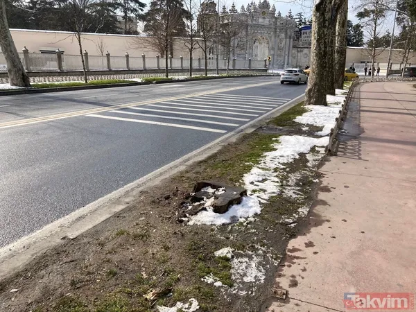 İBB'nin ağaç katliamı karşısında kafasını kuma gömenlere tepki! "Muhalefet keserse ağaçlar hasta, hükümet keserse doğa düşmanı..." - 15