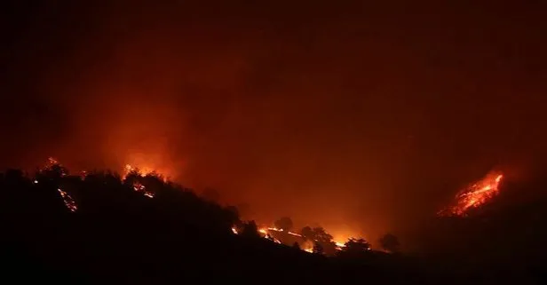 Son dakika: Adana’daki orman yangınına havadan müdahale tekrar başladı