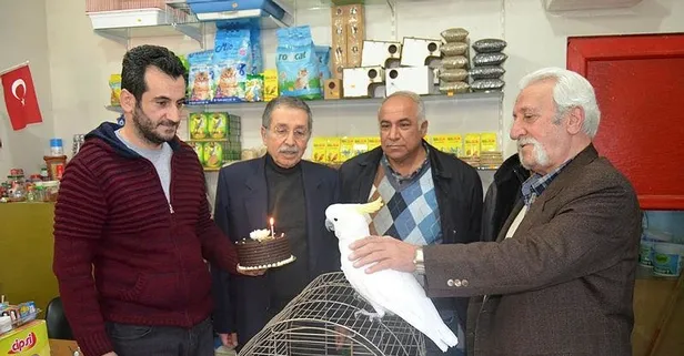 'Baba'ğan! 21 yaşına giren papağan için doğum günü
