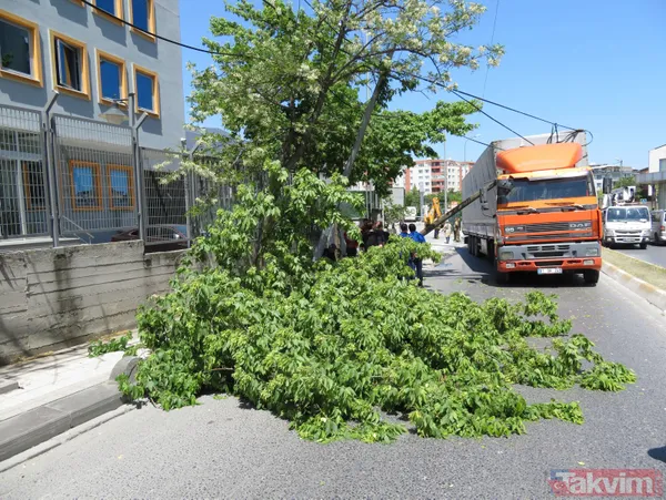 Sancaktepe'de TIR elektrik tellerine takıldı! Direkler devrildi - 5