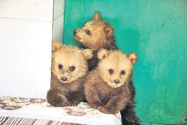 bomba-itiraf-istiklal-caddesindeki-bombali-saldiri-davasinda-gelisme-1683674975610.jpeg Bomba itiraf: İstiklal Caddesi'ndeki bombalı saldırı davasında gelişme!-5