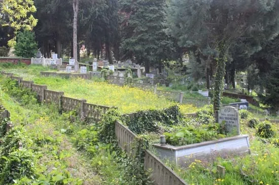 Ordu'da Yeşilçam klasiği Davaro gerçek oldu! Mezarların yönleri şaşırttı-9