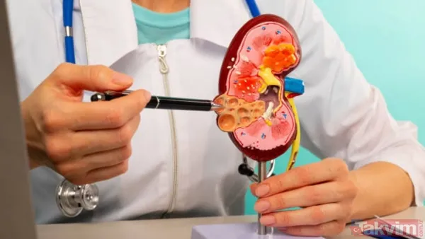 Ramazan’da iftar ile sahur arasında su şart: Uzman doktor böbrek taşı riskine dikkat çekti - 10