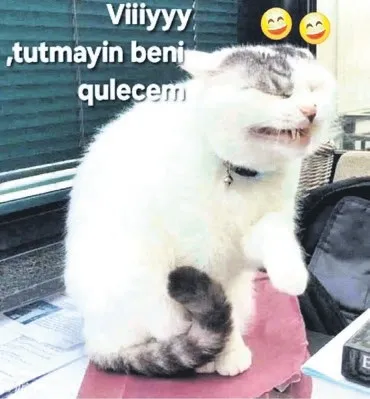Aşık olunduğunda yapılan saçmalıklar