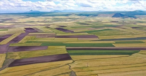 Uzmanlar uyardı "Arsada talep artacak"