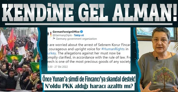 Almanya’dan TTB Başkanı Şebnem Korur Fincancı’ya skandal destek: Tutuklanması endişe verici