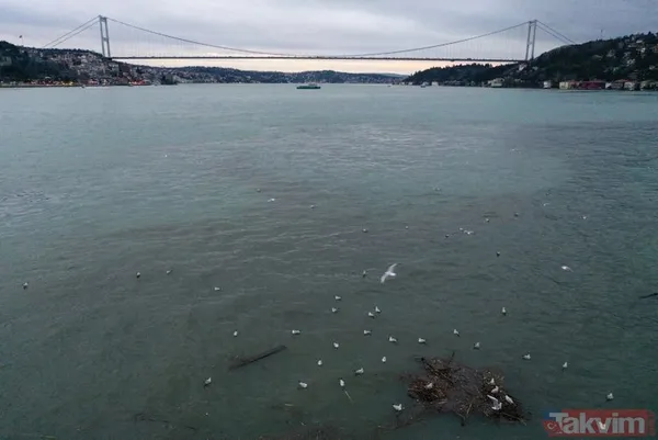 İstanbul'da denize lağım aktı! Boğaz ve Haliç kahverengi oldu - 1