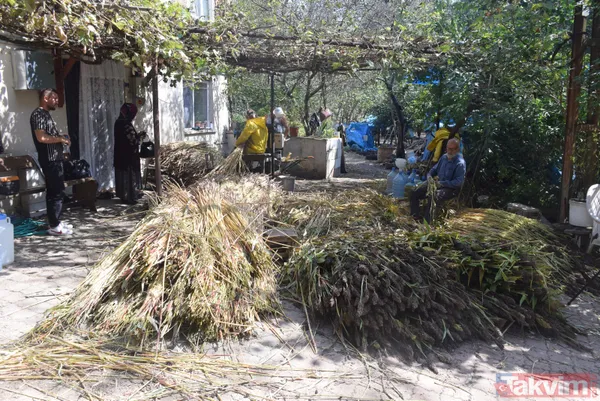 Kilosu 100 lira! Pişmesi 10 saati bulan şeker kamışı pekmezi yok satıyor - 8