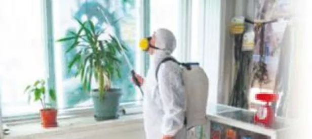 Evinizi ilaçlarken çocuğunuzu kanser etmeyin