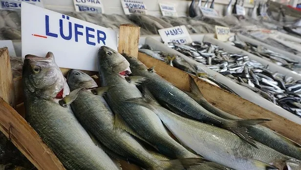 2021- 2022 balıkçılık av sezonu yasağı yarın başlıyor! Kurallara uymayanlar ceza yağdı: 27 milyon 597 bin lira-3