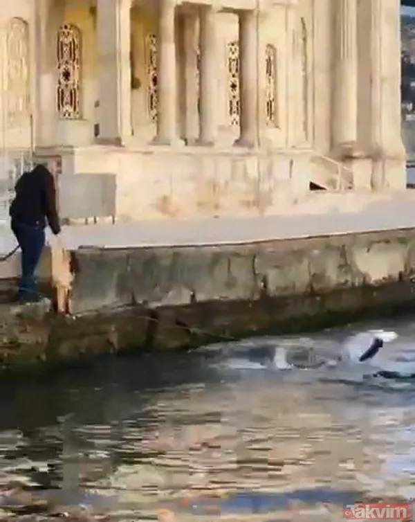 Özel Harekat polisi İstanbul Boğazı'na atlayıp turisti kurtardı - 5