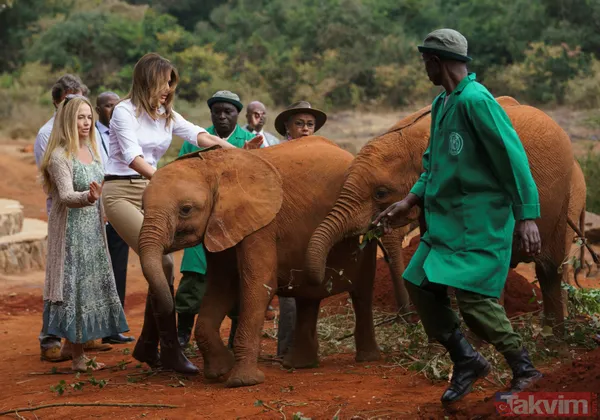 Melania Trump az daha filin altında kalıyordu - 4