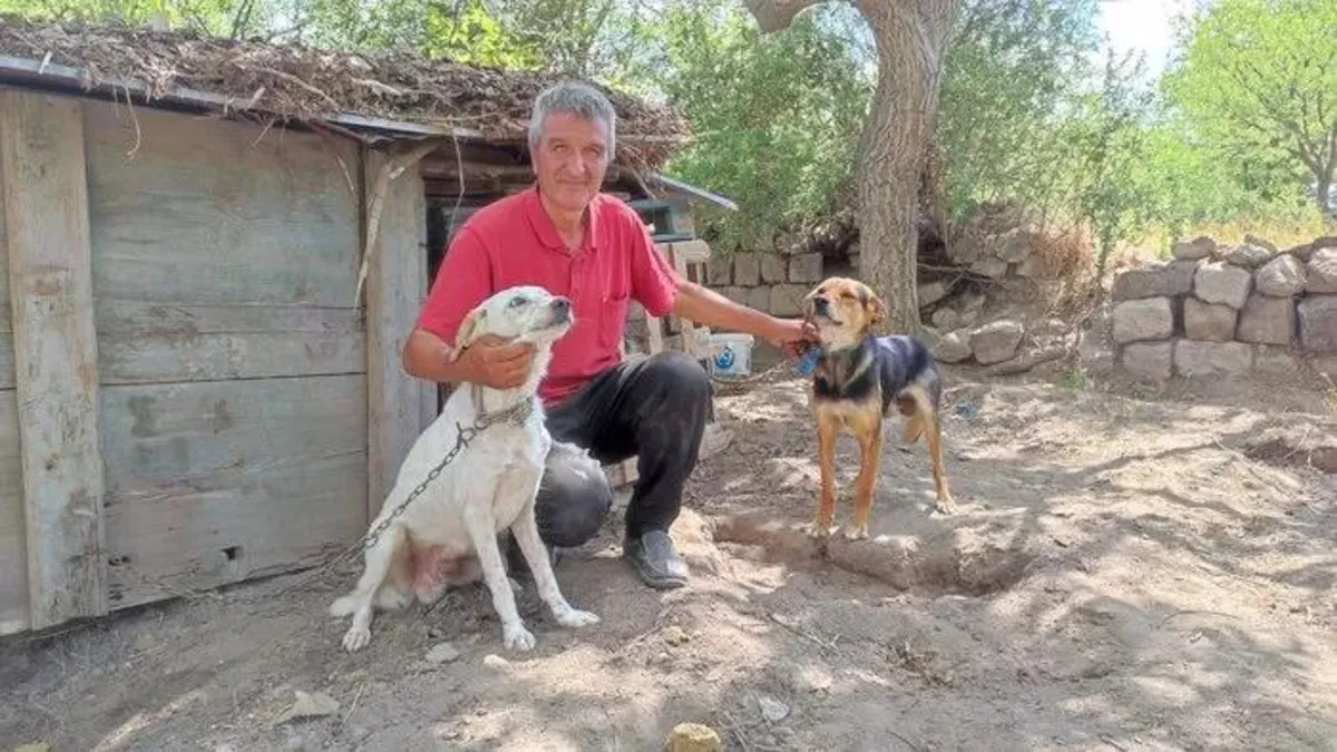 Tek başına 85 köpeğe bakıyor! 61 yaşındaki adamdan hayvanseverlere tavsiye: Takım tutar gibi yapmamalıyız