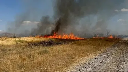 Ormanları yakanlar adaletten kaçamayacak! Bakan Gürlek yaz bilançosunu paylaştı, adli dosyalarda çarpıcı ayrıntılar-19