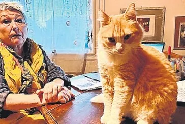 Fransa’da kediye 90 gün ev hapsi: Karar ülkeyi ayağa kaldırdı