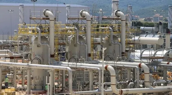 Son dakika: Başkan Erdoğan "Doğalgaz fiyatı Türkiye'de belirlenecek" dedi herkes bunu araştırmaya başladı! Doğalgaz üssü nerede kurulacak?-6