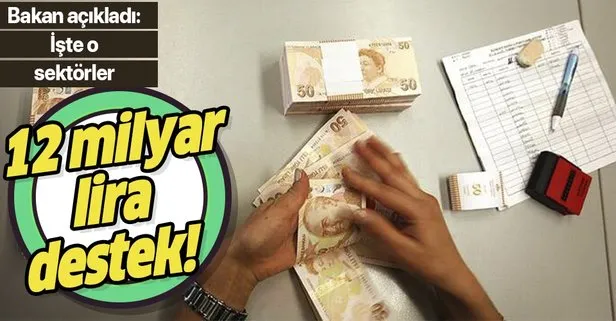 Bakan açıkladı: 12 milyar lira destek!