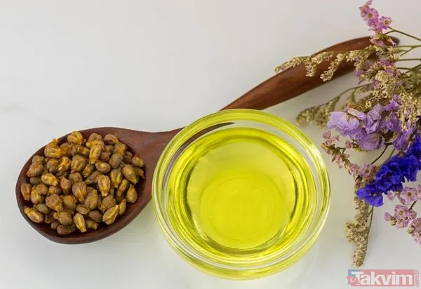 Hayat kurtarıyor ama çöpe atıyoruz dünyadan haberimiz yok! Ne yapın edin üzüm çekirdeğini sakın ama sakın çöpe atmayın - 15