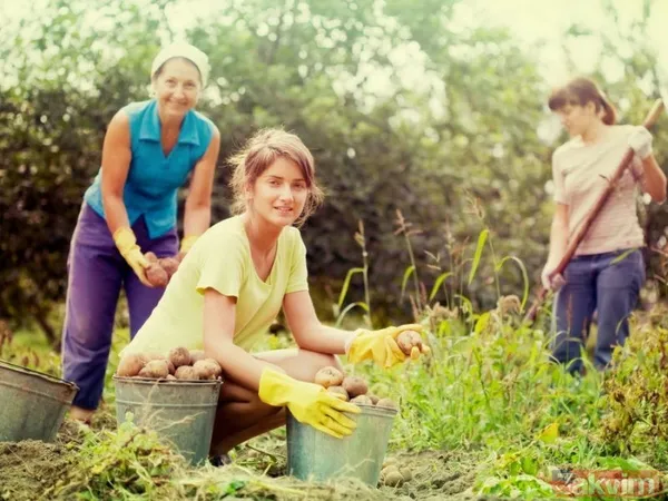 Çiftçiye mazot, yem ve gübre desteği! Tarım ve Orman Bakanı Vahit Kirişci açıkladı! Nasıl yararlanılacak? İşte detaylar... - 6