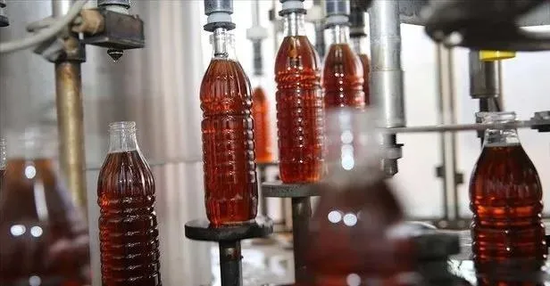 Sağlığını "sirkel"e! Faydaları saymakla bitmez