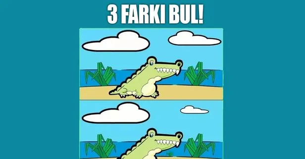 Timsah resmindeki 3 fark nerede? 255 kişiden sadece 2'si başarabildi! İşte bulmaca testi