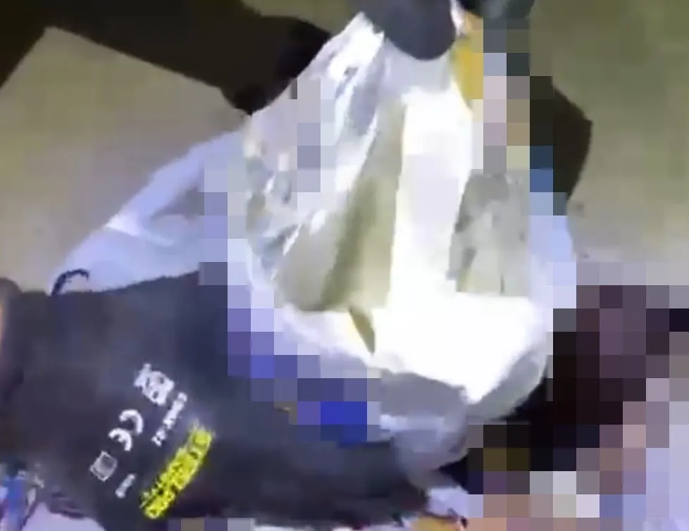 Cips paketinden zehir ham maddesi çıktı | 206 kilo üretilecekti | Narkotik köpeği Yaşa yakaladı