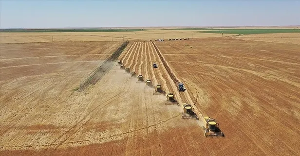 Çiftçinin güvencesi tarım sigortaları! Poliçe nasıl yaptırılır? Prim indirimi uygulanıyor mu?