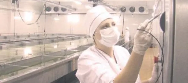 2017 kadın yılı ilan edildi