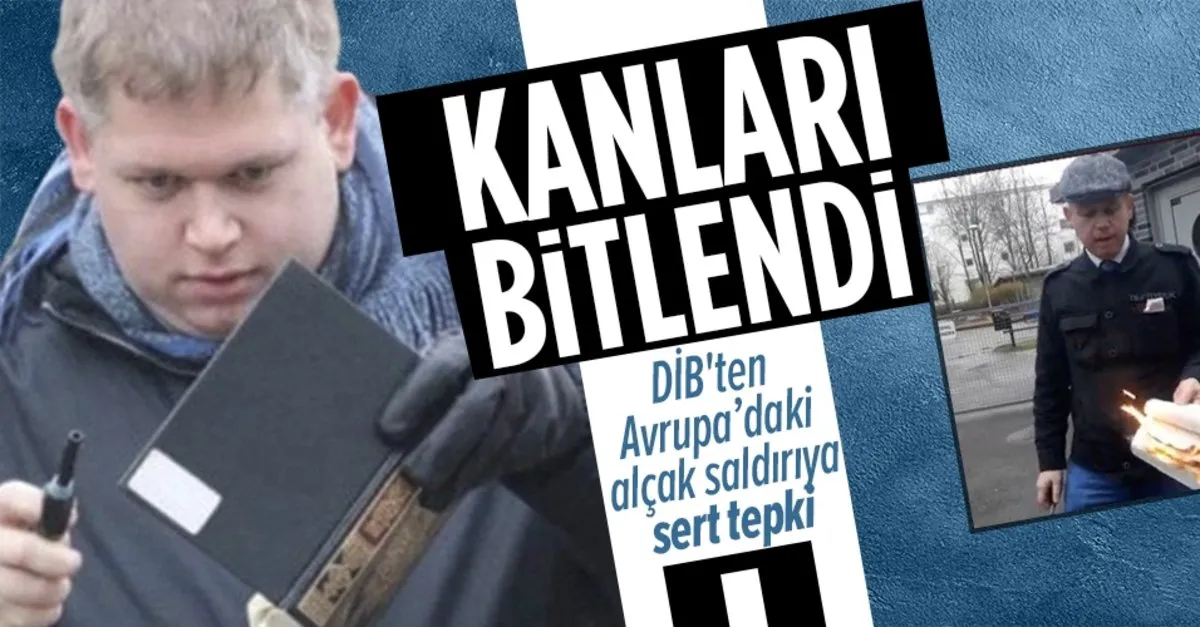 türkçe indie porno video gif