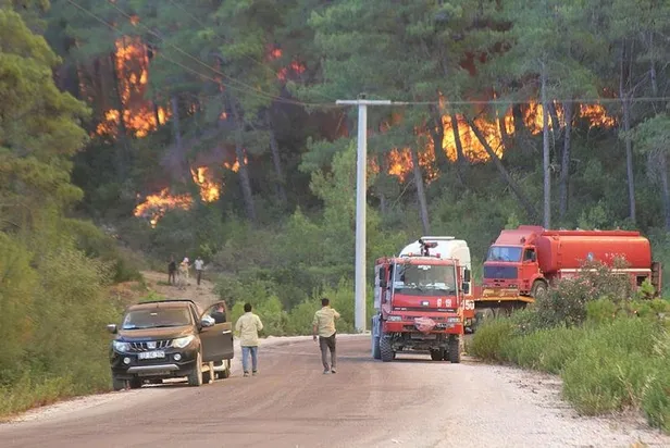 Türkiye'de peş peşe orman yangınları! Başkan Erdoğan açıkladı: 5 il Genel Hayata Etkili Afet Bölgesi ilan edildi-11