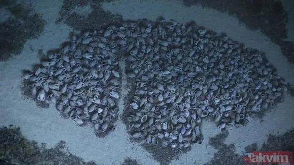 İsa Peygamber Dönemiyle Tarihlenen Gemi Enkazının Büyük Bir Arkeolojik Keşif Olduğu Belirtildi. Batık, Yunan Adası Kefalonya Adası Açıklarında Bulundu Ve...